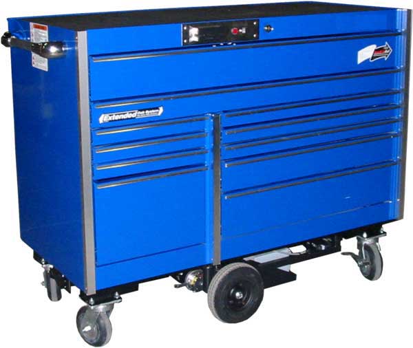 Custom Electric Carts